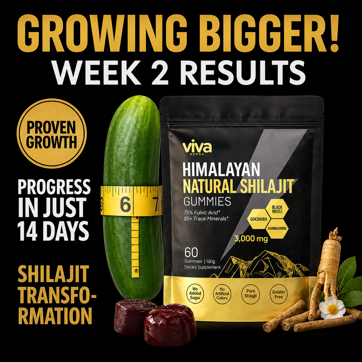 VivaNorra® Himalayan Gold Shilajit Gummies
